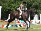 Image 96 in WAVENEY HARRIERS PONY CLUB SHOW. 3 AUG 2015