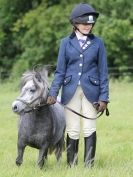 Image 97 in WAVENEY HARRIERS PONY CLUB SHOW. 3 AUG 2015