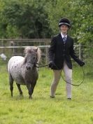 Image 98 in WAVENEY HARRIERS PONY CLUB SHOW. 3 AUG 2015