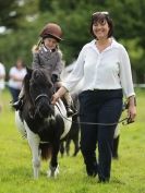 Image 99 in WAVENEY HARRIERS PONY CLUB SHOW. 3 AUG 2015