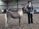 Image 11 in EASTERN COUNTIES MINIATURES OVERA FARM STUD 8 AUG. 2015