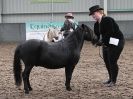 Image 18 in EASTERN COUNTIES MINIATURES OVERA FARM STUD 8 AUG. 2015