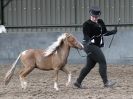 Image 2 in EASTERN COUNTIES MINIATURES OVERA FARM STUD 8 AUG. 2015