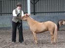 Image 23 in EASTERN COUNTIES MINIATURES OVERA FARM STUD 8 AUG. 2015