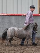 Image 26 in EASTERN COUNTIES MINIATURES OVERA FARM STUD 8 AUG. 2015