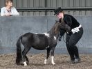 Image 4 in EASTERN COUNTIES MINIATURES OVERA FARM STUD 8 AUG. 2015