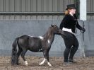 Image 5 in EASTERN COUNTIES MINIATURES OVERA FARM STUD 8 AUG. 2015