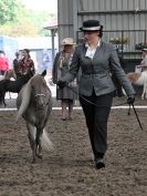 Image 7 in EASTERN COUNTIES MINIATURES OVERA FARM STUD 8 AUG. 2015