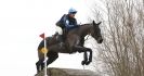 Image 11 in ISLEHAM INTERNATIONAL HORSE TRIALS DAY 2.  MARCH 2013.