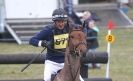 Image 36 in ISLEHAM INTERNATIONAL HORSE TRIALS DAY 2.  MARCH 2013.