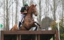 Image 40 in ISLEHAM INTERNATIONAL HORSE TRIALS DAY 2.  MARCH 2013.