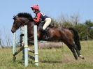 Image 175 in JUMP CROSS. CHARITY EVENT. ALDEBY 9 AUG 2015