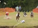 WHIPPET CLUB RACING ASSN. 3RD CHAMPIONSHIPS  2015