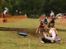 Image 36 in WHIPPET CLUB RACING ASSN. 3RD CHAMPIONSHIPS 2015