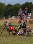 Image 46 in WHIPPET CLUB RACING ASSN. 3RD CHAMPIONSHIPS 2015