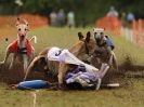 Image 50 in WHIPPET CLUB RACING ASSN. 3RD CHAMPIONSHIPS 2015