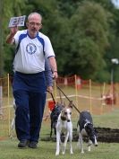Image 52 in WHIPPET CLUB RACING ASSN. 3RD CHAMPIONSHIPS 2015