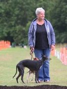 Image 53 in WHIPPET CLUB RACING ASSN. 3RD CHAMPIONSHIPS 2015