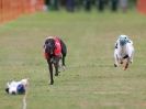 Image 58 in WHIPPET CLUB RACING ASSN. 3RD CHAMPIONSHIPS 2015
