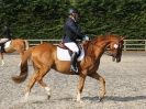 Image 60 in BROADS EC. UNAFFILIATED DRESSAGE 22 AUG. 2015