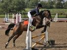 Image 8 in OVERA FARM STUD. SUNDAY SHOWJUMPING 23 AUG 2015.