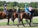 Image 6 in NEWMARKET CHARITY RIDE ( MACMILLAN ) 6 SEPT. 2015.