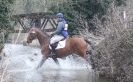 Image 31 in GT. WITCHINGHAM INTERNATIONAL. MARCH 2013.