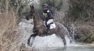 Image 34 in GT. WITCHINGHAM INTERNATIONAL. MARCH 2013.