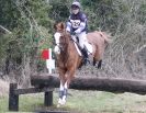Image 39 in GT. WITCHINGHAM INTERNATIONAL. MARCH 2013.