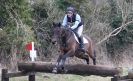 Image 40 in GT. WITCHINGHAM INTERNATIONAL. MARCH 2013.