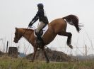 Image 49 in GT. WITCHINGHAM INTERNATIONAL. MARCH 2013.