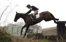 Image 51 in GT. WITCHINGHAM INTERNATIONAL. MARCH 2013.