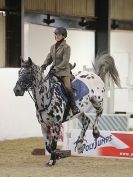 Image 90 in EVENING SHOW JUMPING BROADS EC 9 SEPT. 2015