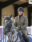 Image 99 in EVENING SHOW JUMPING BROADS EC 9 SEPT. 2015