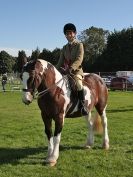 Image 26 in AUTUMN HORSE SHOW  TRINITY PARK. 12 SEPT. 2015