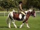 Image 31 in AUTUMN HORSE SHOW TRINITY PARK. 12 SEPT. 2015