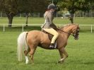 Image 36 in AUTUMN HORSE SHOW TRINITY PARK. 12 SEPT. 2015