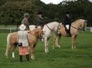 Image 37 in AUTUMN HORSE SHOW TRINITY PARK. 12 SEPT. 2015
