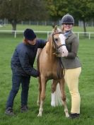 Image 38 in AUTUMN HORSE SHOW TRINITY PARK. 12 SEPT. 2015