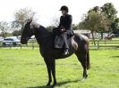 Image 44 in AUTUMN HORSE SHOW TRINITY PARK. 12 SEPT. 2015