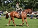Image 45 in AUTUMN HORSE SHOW TRINITY PARK. 12 SEPT. 2015