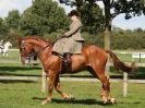 Image 46 in AUTUMN HORSE SHOW TRINITY PARK. 12 SEPT. 2015
