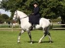 Image 48 in AUTUMN HORSE SHOW TRINITY PARK. 12 SEPT. 2015