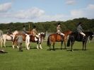 Image 49 in AUTUMN HORSE SHOW TRINITY PARK. 12 SEPT. 2015