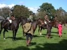 Image 8 in AUTUMN HORSE SHOW  TRINITY PARK. 12 SEPT. 2015