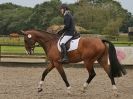 Image 32 in OVERA FARM. SOME DRESSAGE PICS 13 SEPT. 2015