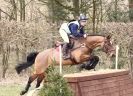 Image 10 in BURNHAM MARKET INTERNATIONAL HORSE TRIALS   MARCH  2013