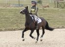 Image 19 in BURNHAM MARKET INTERNATIONAL HORSE TRIALS   MARCH  2013