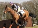 Image 44 in BURNHAM MARKET INTERNATIONAL HORSE TRIALS   MARCH  2013