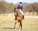 Image 48 in BURNHAM MARKET INTERNATIONAL HORSE TRIALS   MARCH  2013